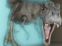 有限会社　ビットシステムのプレスリリース画像