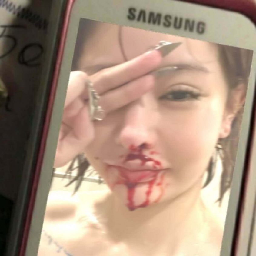 Twitter：戦慄かなの（@FABkanano）より