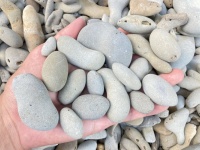 ただの石ころにしか見えないけれど...　大学生が20時間かけて削った〝成果〟にネット震撼「何で見つけられるんや...」