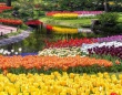 絵画の中にいるみたい...　昭和記念公園の「圧倒的な春」は今が見ごろ