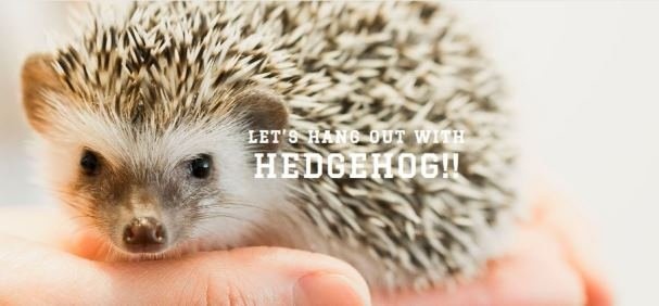 画像は「つんつん」のホームページより