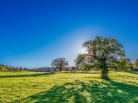 霧の街ロンドン、雨の国イギリス。たまの晴れの日、彼らは何をしてすごすのだろう？イギリス人あるある(ユーモア)