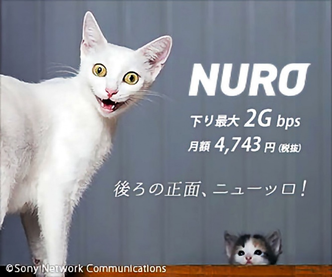 nuro-neko