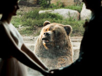 動物園で結婚式を挙げたカップル。クマが積極的に参列、記念写真にぽか～んと写り込む（アメリカ）