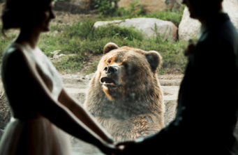 動物園で結婚式を挙げたカップル。クマが積極的に参列、記念写真にぽか～んと写り込む（アメリカ）