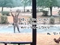 自宅警備のスペシャリスト、番鶏に出くわしてしまった配達員の末路