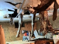 逆スケキヨ状態に！納屋の床が突き抜け馬の足がはまってしまう
