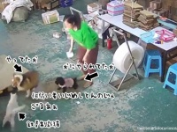 弱い者いじめ許すまじ！小犬をいじめていた犬に鉄拳制裁を下す猫