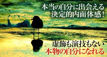 Dream Art Laboratoryのプレスリリース画像