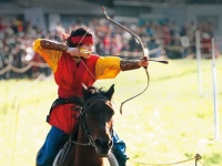 一般社団法人高麗１３００のプレスリリース画像