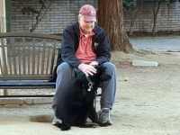 愛情を必要としている人がわかる犬。ドッグパークを抜け出し向かった先は？