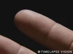 やや閲覧注意？　指先から汗の出る瞬間をタイムラプス映像で