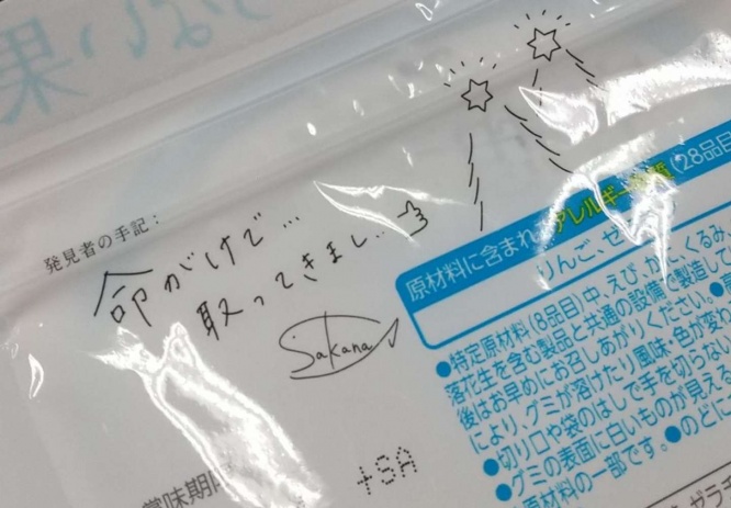 パケ裏には発見者の手記