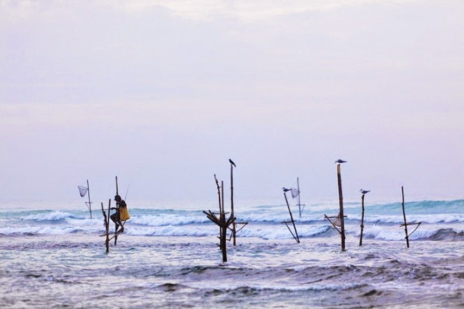 stilt-fishermen-sri-lanka-4[2]