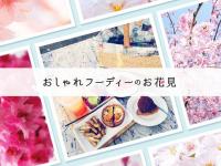 おっしゃれフーディーのお花見