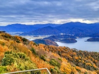 越前ガニ解禁！福井”冬の美食三本柱”を完全制覇する旅