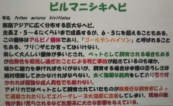爬虫類の解説も力作ぞろいだ