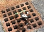 「助けてにゃー」子猫様、街中をお散歩中にまさかの首吊り状態へ！