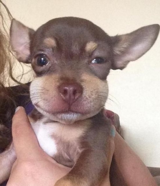 スクリーンショット 2016-04-24 20.00.06