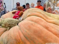 世界最大のカボチャはなんと1,246.9kg！マイケル・ジョーダンと命名される