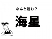 【難読】海の星でなんて読む？「海星」の正しい読み方