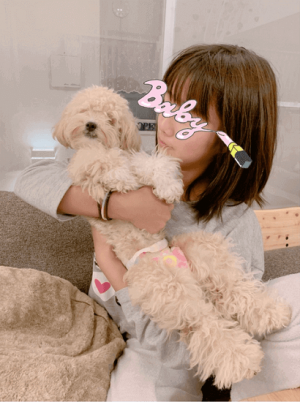 辻希美 なぜオムツを 久々に登場した愛犬の姿がネット上で物議に 1ページ目 デイリーニュースオンライン