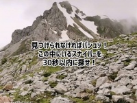 30秒以内にスナイパーを探せ！