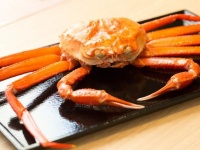 新鮮なカニを頬張れる