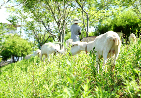 株式会社サーチフィールドのプレスリリース画像