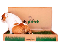 Fresh Patch Japanのプレスリリース画像