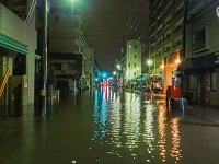 画像はイメージ。（Takashi Yamaokuさん撮影。flickrより）