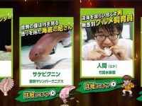 「へんないきもの大王タイトルマッチ」公式サイトより