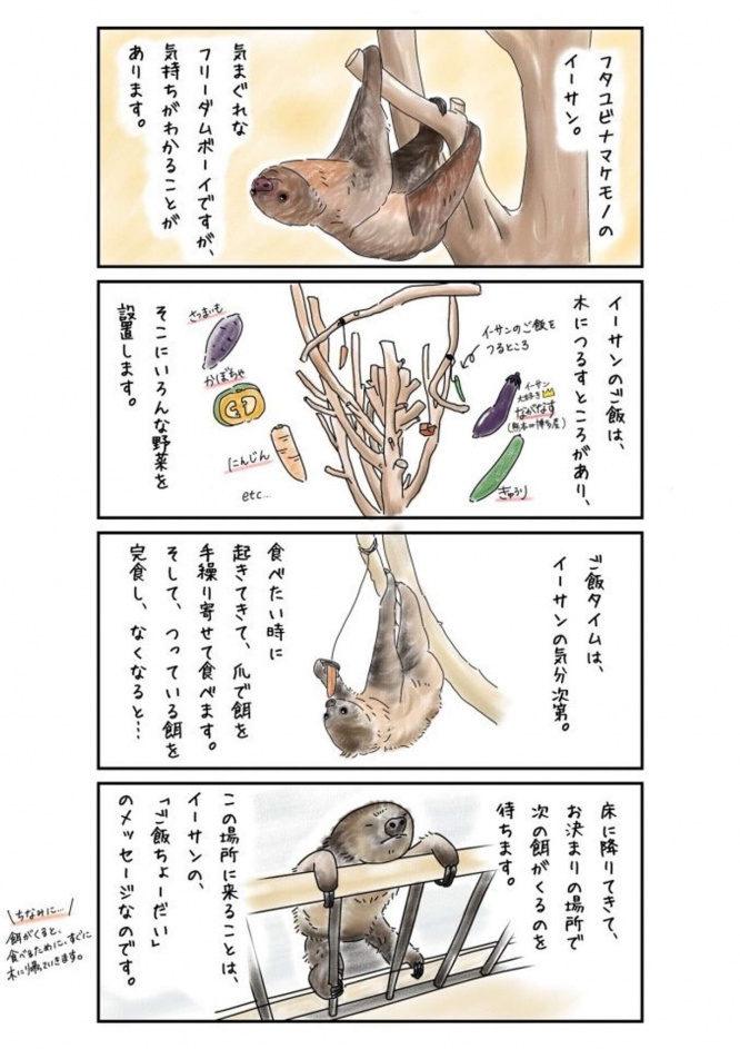 イーサンのメッセージ（画像提供：みなとやま水族館(＠minatoyama_jp)）