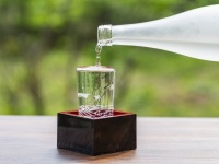 今年の「ふるさと納税」はまだ間に合う！　日本酒・焼酎の返礼品ランキングトップ5【2024年11月版】