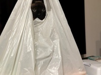 この写真には「黒猫」が1匹映っています　あなたは見つけられる？