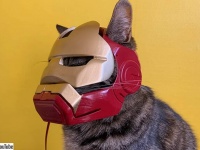 最強の猫になるための「アイアンキャット」ヘルメットを3Dプリンターで作成