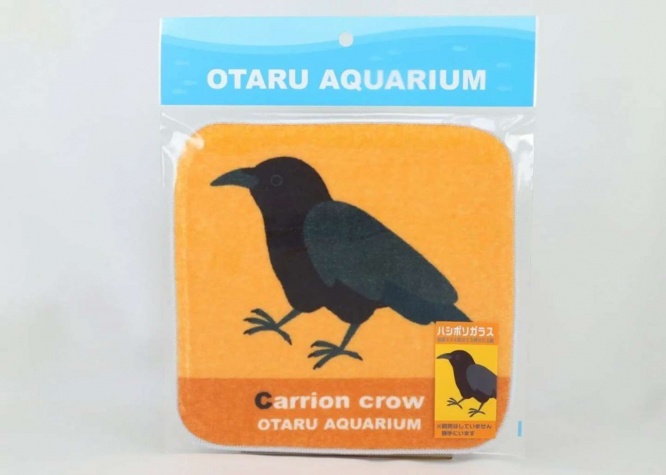 スタッフも大好きなハシボソガラス（画像はおたる水族館より、以下同）