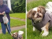 トリマーの女性が休日に、お気に入りの犬が散歩をしているところに遭遇。その時の犬の反応が面白。