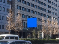 街中にバグが...（いまいずみひとしさんのツイートより）
