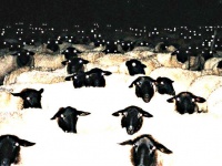 「羊たちの沈黙」レベル、いやそれ以上かもしれない。ホラーな雰囲気を醸し出している悪魔の使徒たち