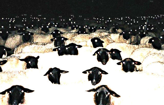 「羊たちの沈黙」レベル、いやそれ以上かもしれない。ホラーな雰囲気を醸し出している悪魔の使徒たち