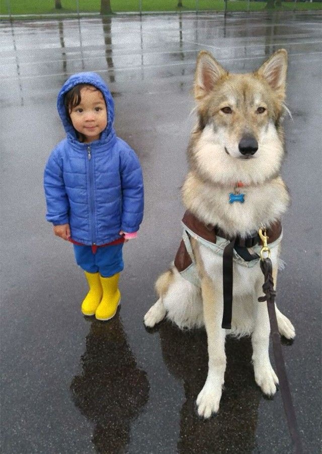 cute-kids-dogs-best-friends-friendship-305-5a9960ed9c1e7__605_e