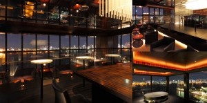 冬の花火と都心の夜景☆海を臨む最上階Sky Terraceで恋活パーティ