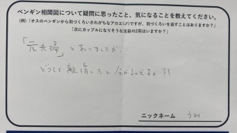 ペンギンの〝元夫婦〟が離婚したと分かるのはなぜ？　水族館の回答に3.1万人注目「深すぎる、ペンギンの恋愛模様...」