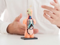 「Doctors Me（ドクターズミー）」コラム画像