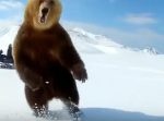 【おそロシア】クマを煽ったら襲われそうになったけどギリギリで回避した映像。