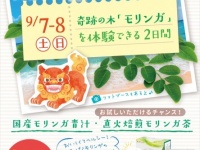 株式会社ビューティーワールドのプレスリリース画像