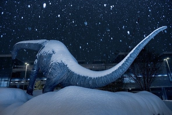 フクイティタンの背中に雪が...（tomosakiさんのツイートより）