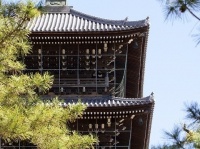 修行的研修である（写真は善通寺）