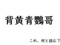 さて、何と読む？